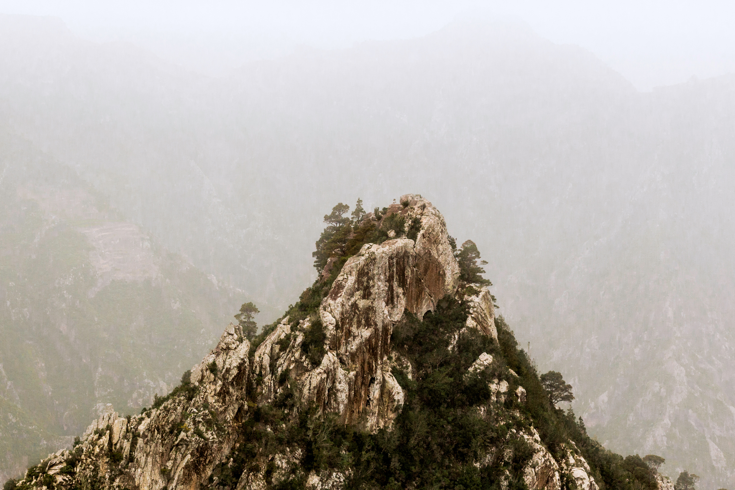 83 niebla.webp
